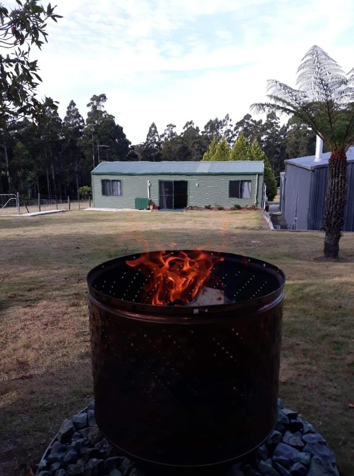 In The Tasmanian Bush - Tranquility!
